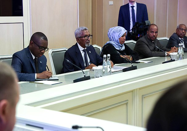 Speaker of the Senate of the Federal Parliament of the Federal Republic of Somalia Abdi Hashi Abdullahi