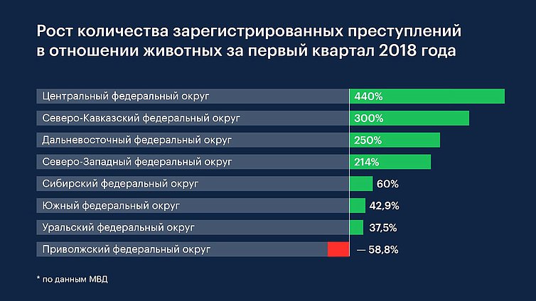 Статистика жестокого обращения с животными