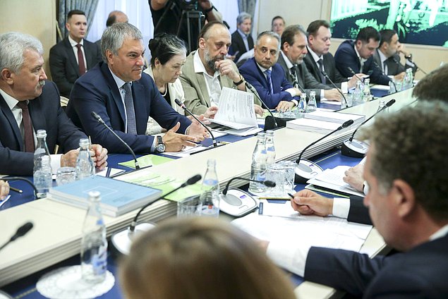 Председатель ГД Вячеслав Володин