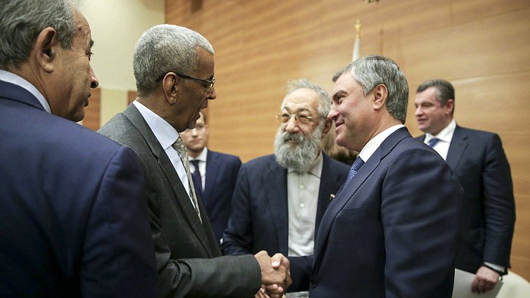 Meeting of Chairman of the State Duma Viacheslav Volodin with the ambassadors of African countries to the Russian Federation