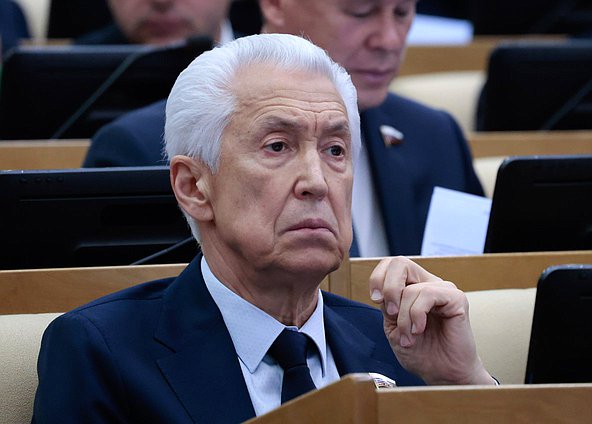 Член фракции "Единая Россия" Владимир Васильев