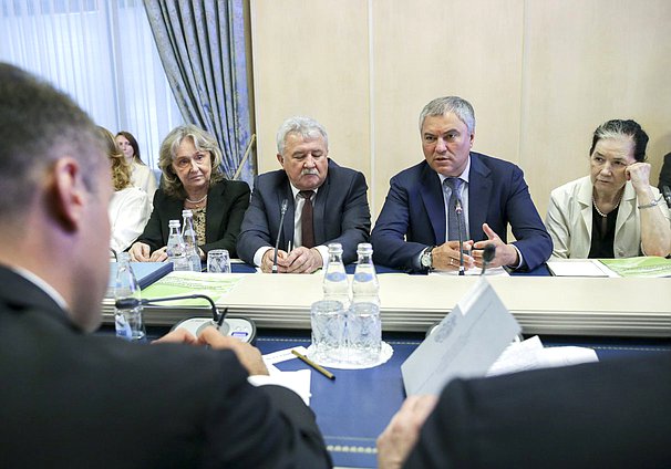 Председатель ГД Вячеслав Володин