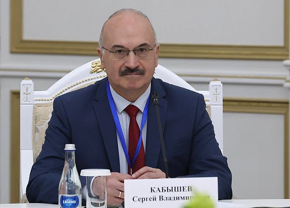 Председатель Комитета по науке и высшему образованию Сергей Кабышев