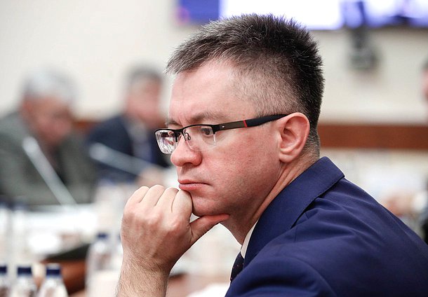Заместитель Председателя Комитета по энергетике Дмитрий Исламов