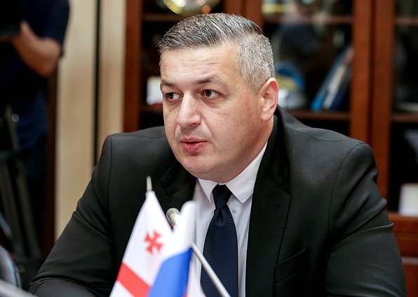 Member of the Alliance of Patriots of Georgia party in the Parliament of Georgia Giorgi Lomia