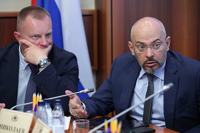 Заместитель Председателя Комитета по вопросам собственности, земельным и имущественным отношениям Николай Николаев