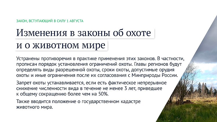 охота
