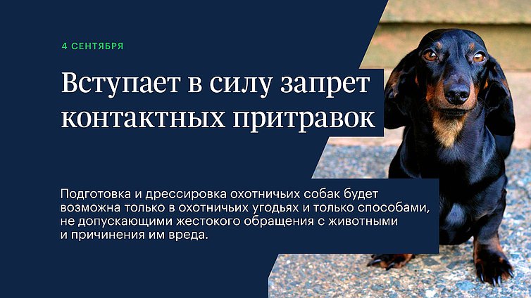 Вступает в силу запрет контактных притравок