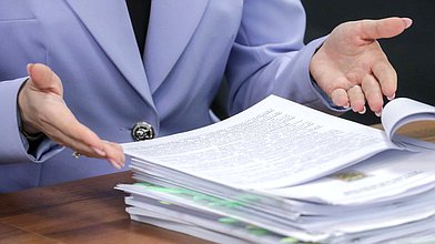 Заседание рабочей группы Комитета по защите семьи, вопросам отцовства, материнства и детства на тему «Детская литература и детские медиа: современное состояние и пути решения»