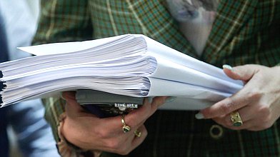 Заседание Комитета по труду, социальной политике и делам ветеранов