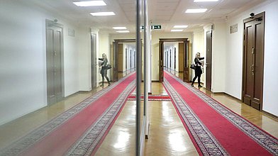 Заседание Комитета по защите семьи, вопросам отцовства, материнства и детства