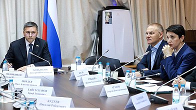 Заседание экспертного совета Комитета по экологии, природным ресурсам и охране окружающей среды по рассмотрению ПФЗ №387575-8 «О внесении изменений в ФЗ «Об охране озера Байкал»