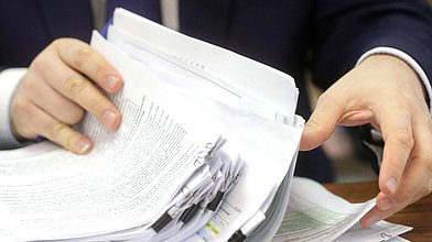 Заседание Комитета по вопросам семьи, женщин и детей