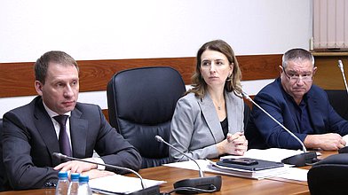 Заседание Комитета по бюджету и налогам: рассмотрение проектов государственных программ РФ "Охрана окружающей среды", "Развитие лесного хозяйства", "Воспроизводство и использование природных ресурсов"
