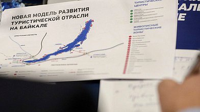 Парламентские слушания на тему «О ходе реализации поручений Президента РФ по сохранению озера Байкал»