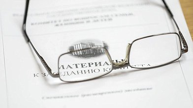 Заседание Комитета по вопросам семьи, женщин и детей