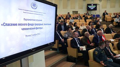Парламентские слушания на тему «Спасение лесного фонда: природный, техногенный, человеческий факторы»