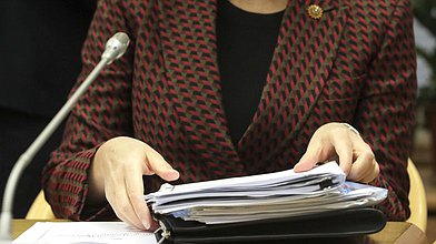 Заседание Комитета по труду, социальной политике и делам ветеранов