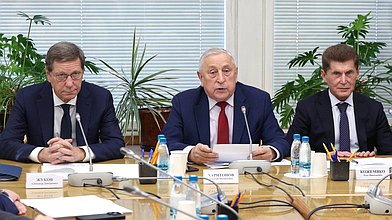 Заседание Комитета по развитию Дальнего Востока и Арктики