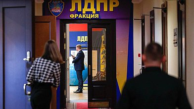 Круглый стол фракции ЛДПР на тему «Актуализация предложений и мер поддержки цифровой среды»