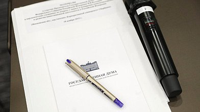 Заседание Комитета по труду, социальной политике и делам ветеранов