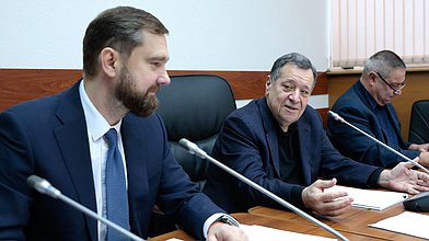 Заседание Комитета по бюджету и налогам: рассмотрение проекта государственной программы РФ "Реализация государственной национальной политики"