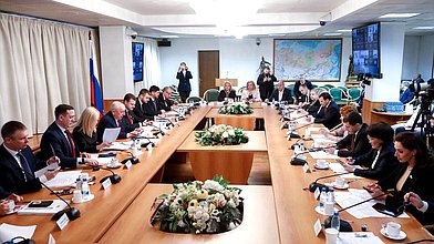 Парламентские слушания на тему "Совершенствование нормативно-правового регулирования развития топливно-энергетического комплекса Дальнего Востока и Арктики"