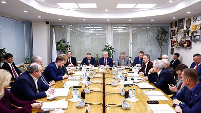 Заседание Комитета по развитию Дальнего Востока и Арктики