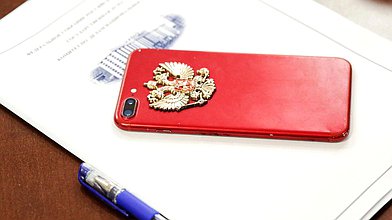 Заседание Комитета по труду, социальной политике и делам ветеранов