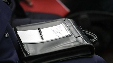 Заседание профильной комиссии Совета законодателей по вопросу реализации программы льготной ипотеки в регионах ДФО