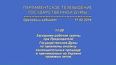 Заседание рабочей группы при Председателе Государственной Думы по правовому анализу законодательных процедур и принимаемых на Украине правовых актов, 11.02.2016