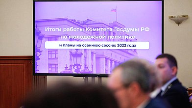 Заседание экспертного совета Комитета по молодежной политике