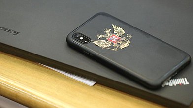 Круглый стол фракции ЛДПР «Демократия у них и у нас»