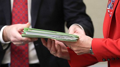 Заседание рабочей группы Комитета по защите семьи, вопросам отцовства, материнства и детства по организации отдыха и оздоровления детей