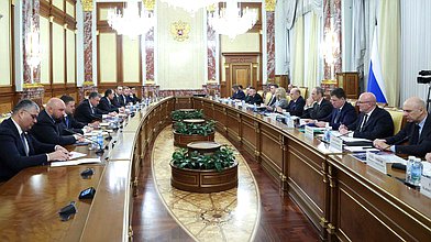 Встреча Председателя Правительства РФ Михаила Мишустина с членами фракции ЛДПР в преддверии отчета Правительства РФ за 2025 год